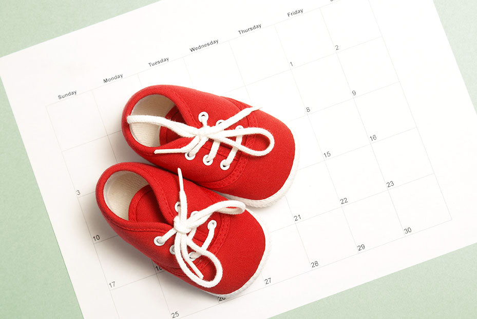 Pregnancy Month by Month. Baby shoes sitting on a calendar. Pregnancy overview