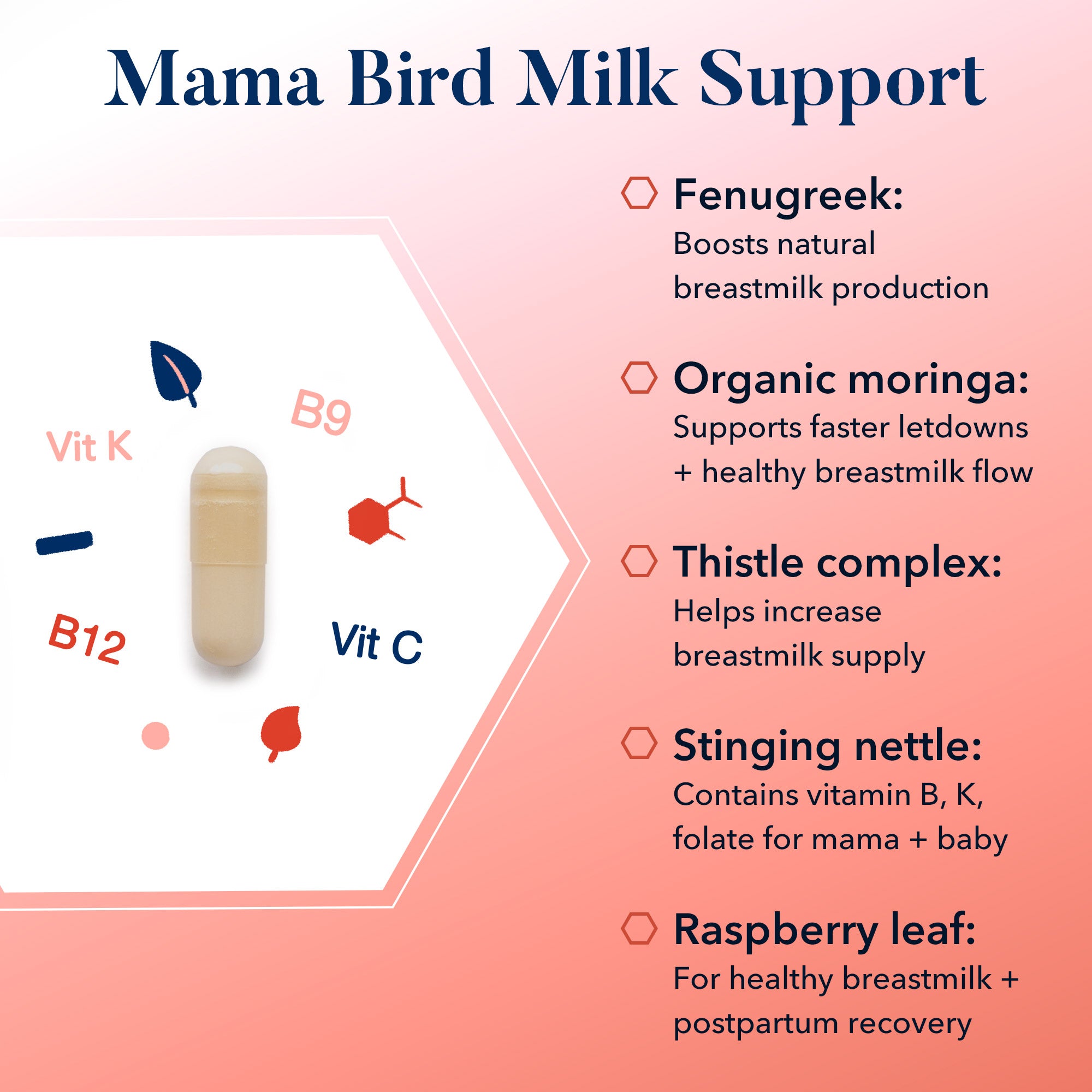 Mama Bird Milk Support