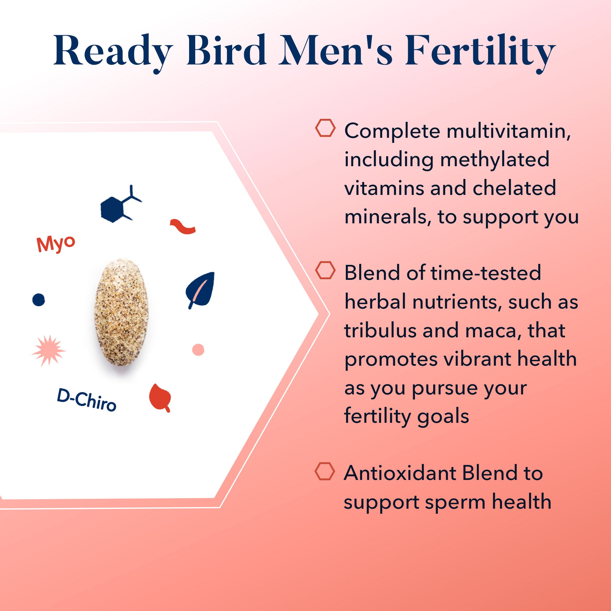 Men's Fertility
