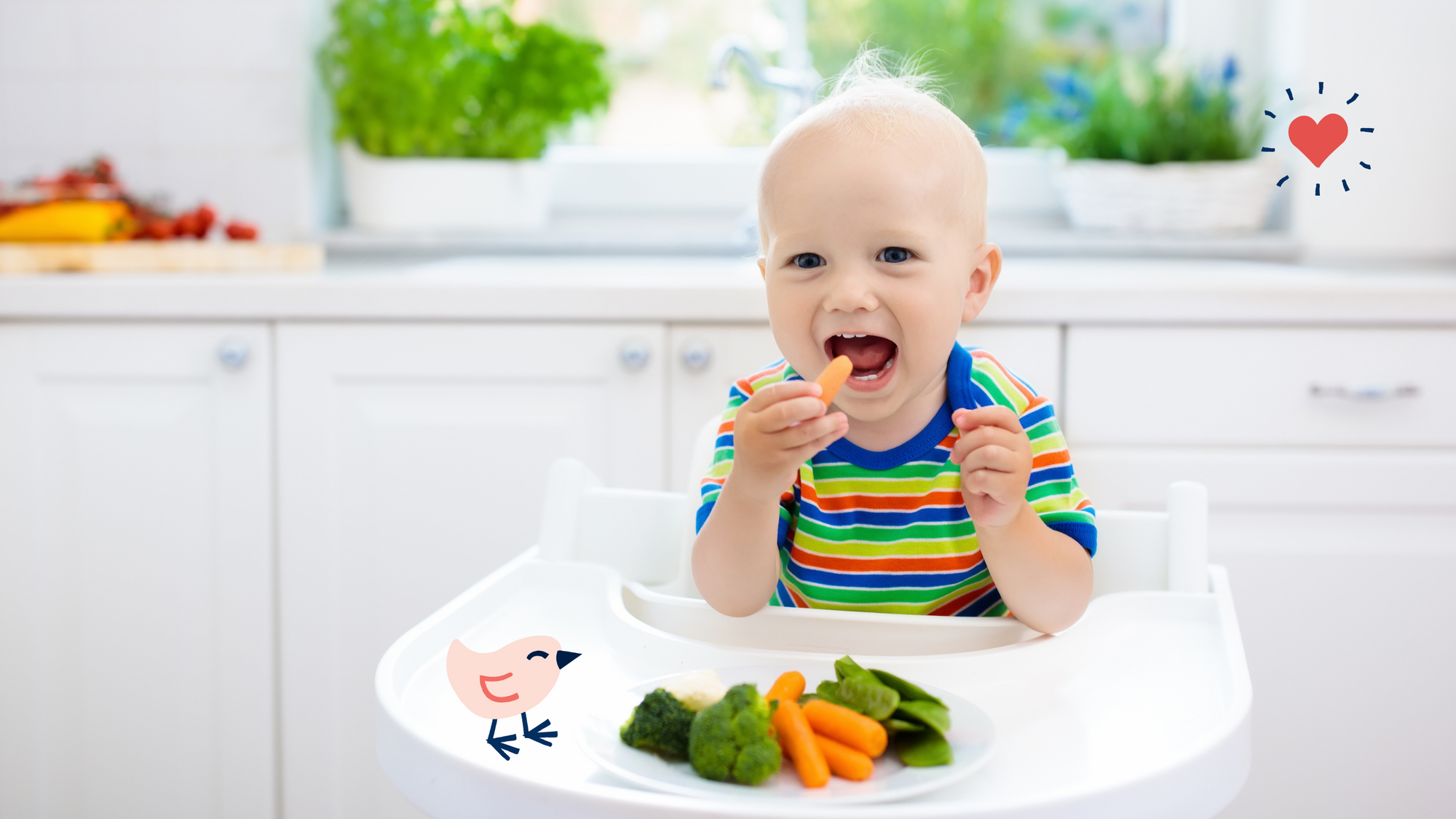 The Essentials for Immune Support for Toddlers