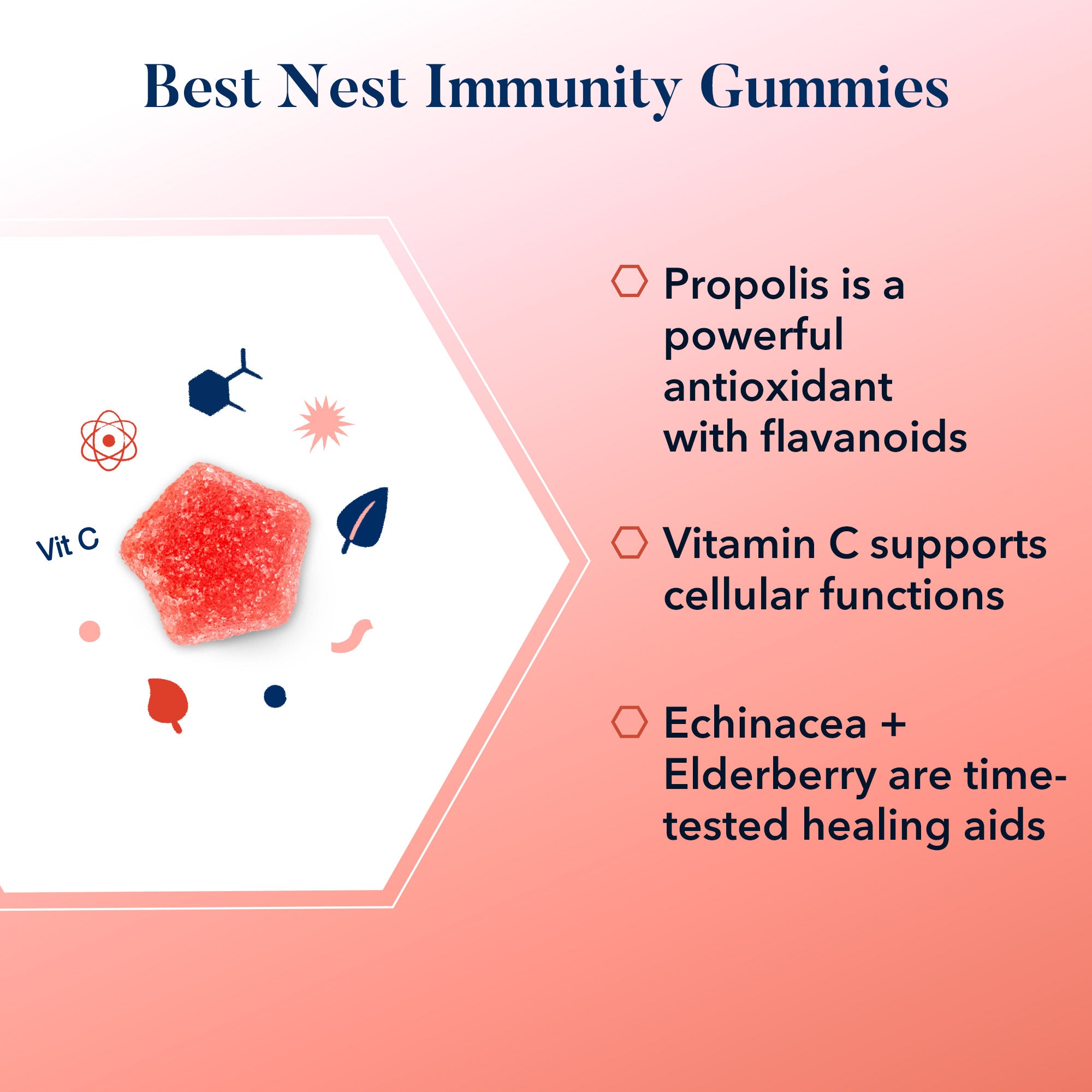 Best Nest Immunity Gummies