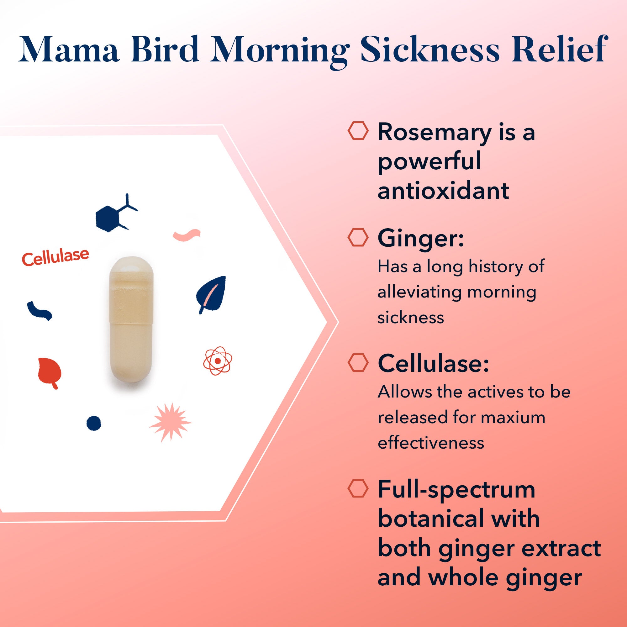 Mama Bird Morning Sickness Relief