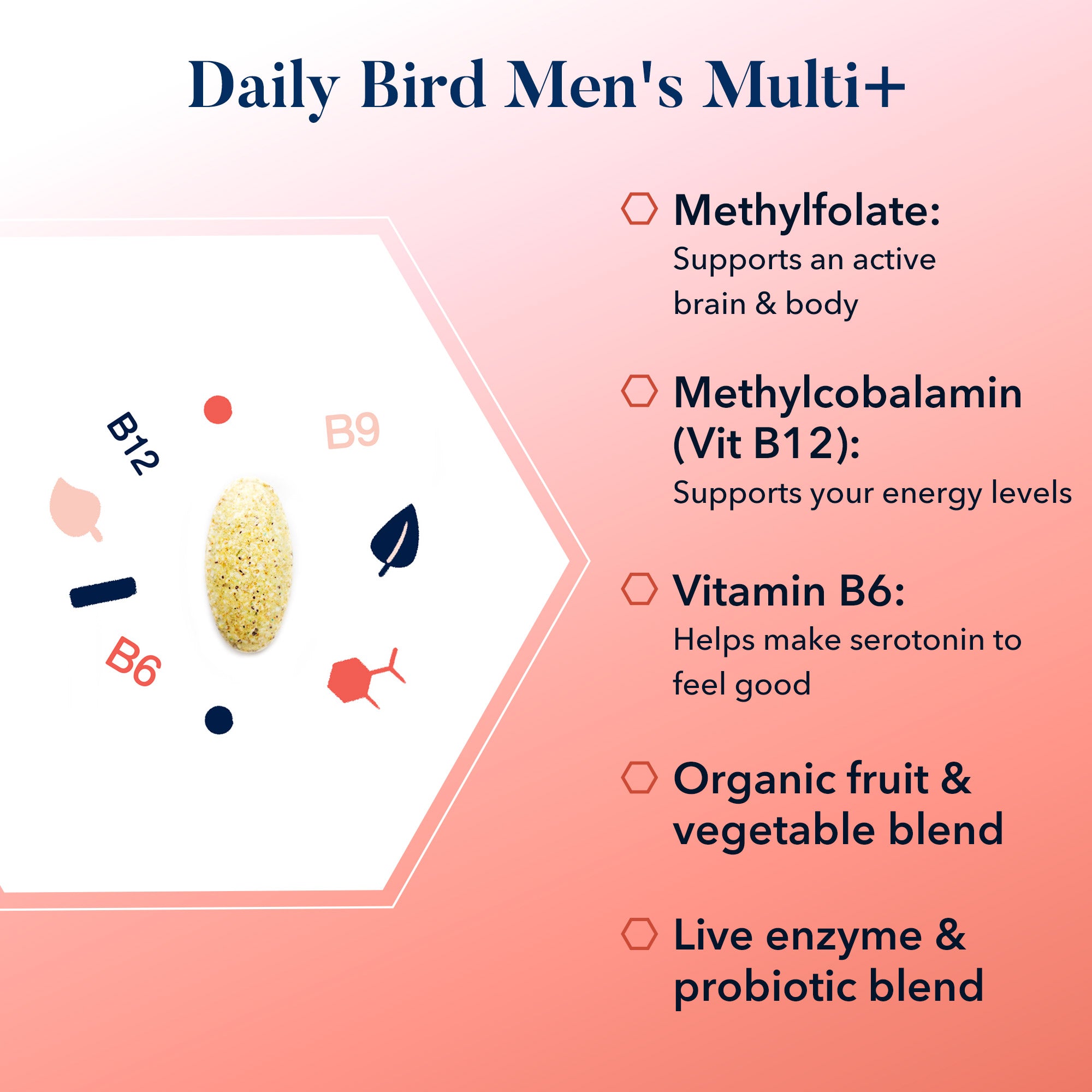 Daily Bird Men's Multi+